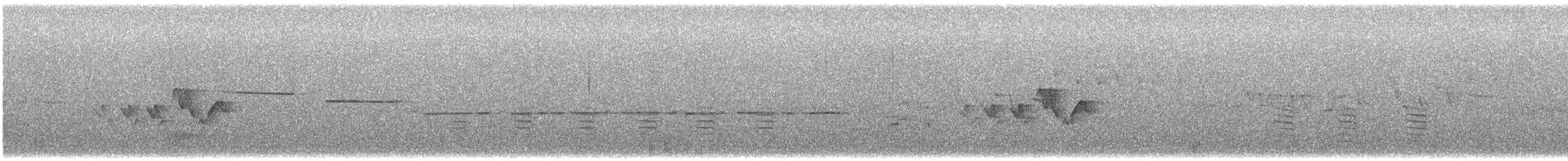 シロオビアメリカムシクイ - ML621012584