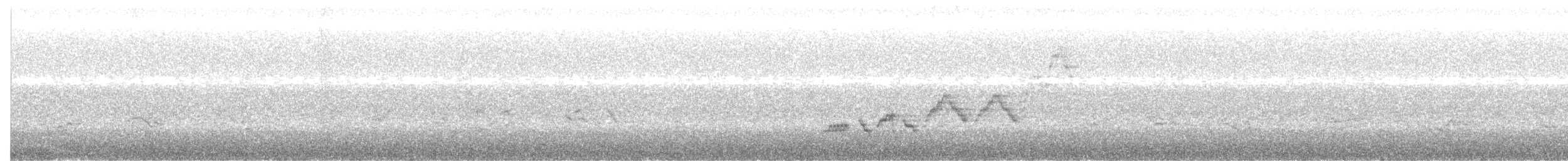 Дрізд-короткодзьоб Cвенсона - ML621012642