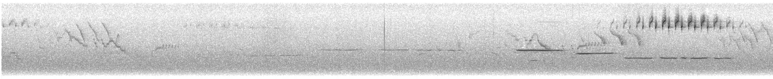 Дрізд-короткодзьоб канадський - ML621012736