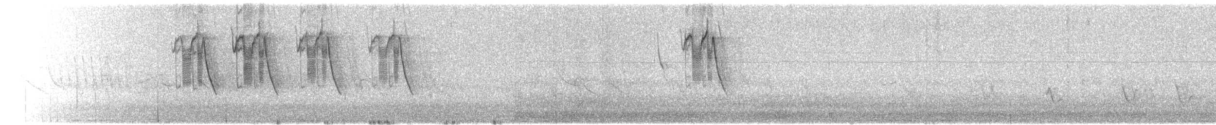 Пятнистохвостая пизарита - ML621012896