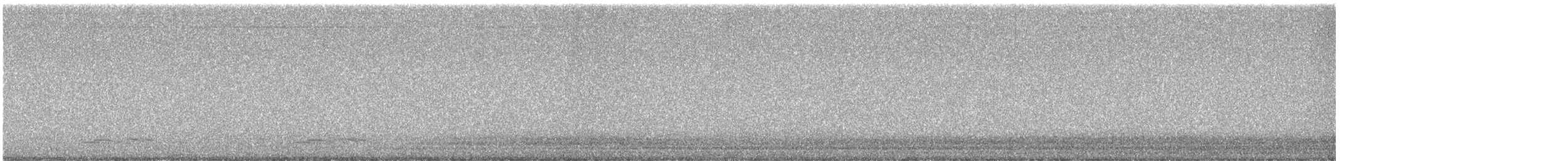 Winternachtschwalbe - ML621012925