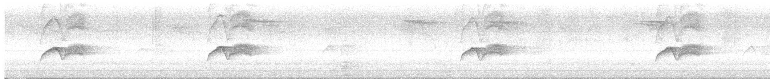Светлобрюхий фиби - ML621013491
