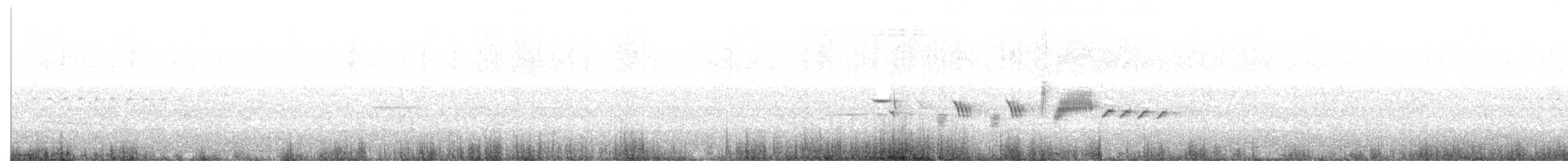 ゴマフスズメ（schistacea グループ） - ML621013529