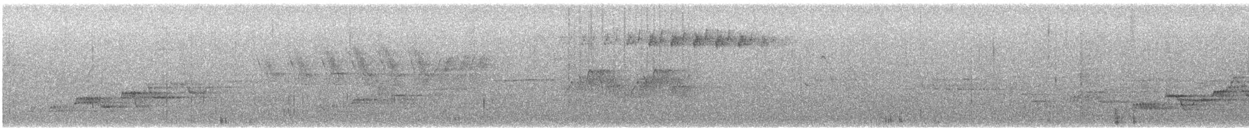 Дрізд-короткодзьоб Cвенсона - ML621013627