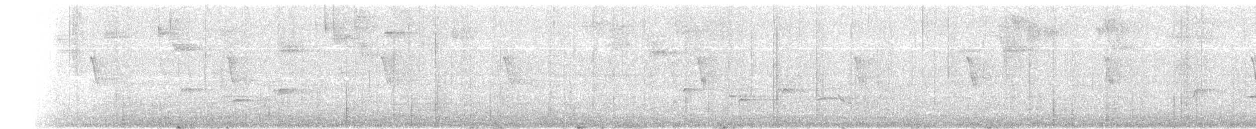 svartleggtykknebb - ML621013636