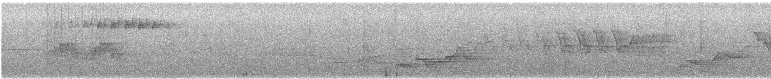Paruline rayée - ML621013637