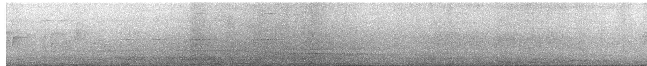 סנונית רפתות - ML621013889