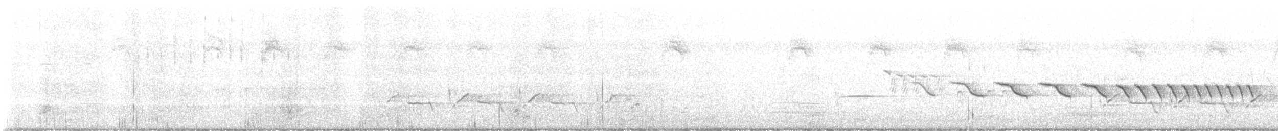 Каролинский крапивник - ML621014112