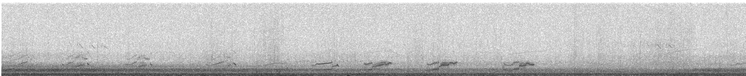 Giant Coot - ML621014450