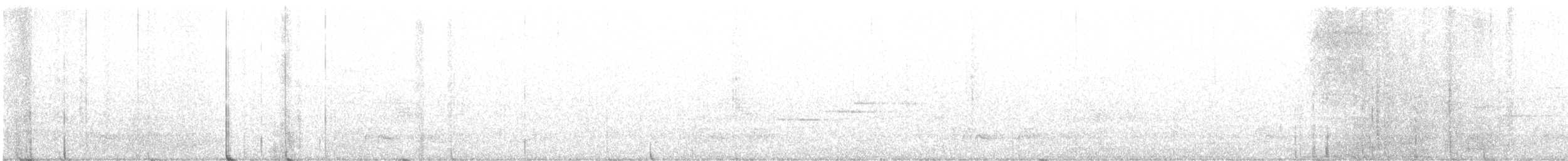 Chotacabras de la Carolina - ML621014456