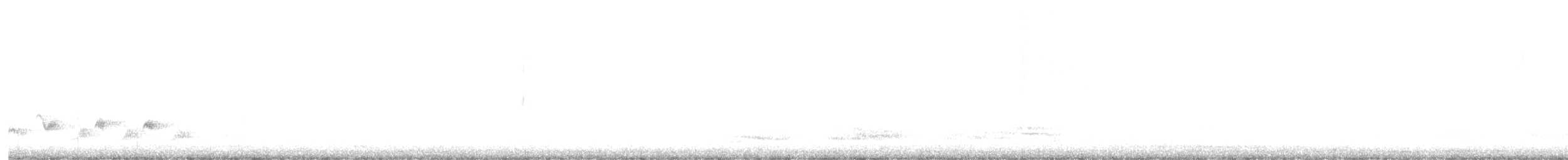Western Orphean Warbler - ML621015132