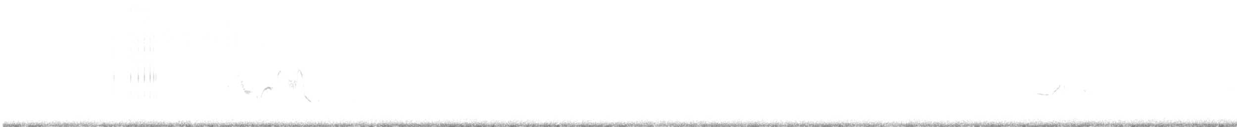 Короткопалый хохлатый жаворонок - ML621015236