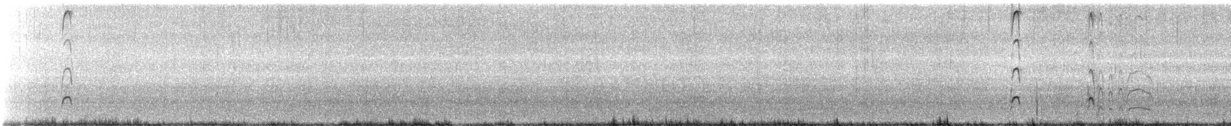 Kara Poyrazkuşu - ML621015357