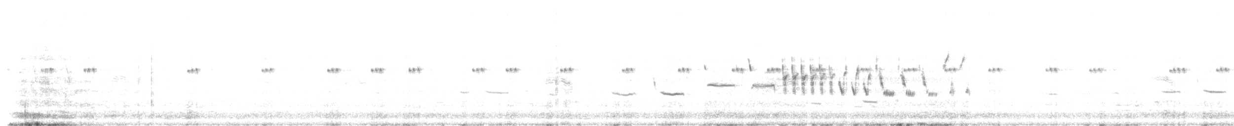 オジロヒメドリ - ML621015436