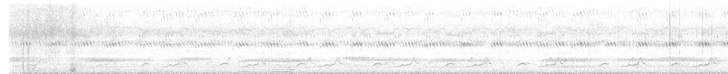 Schwarzkehl-Nachtschwalbe - ML621015747