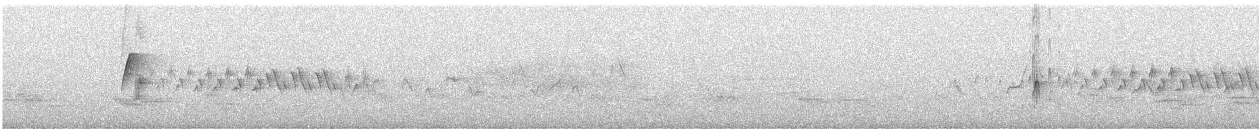 ハモンドメジロハエトリ - ML621016676