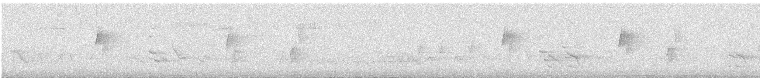 ハモンドメジロハエトリ - ML621017664