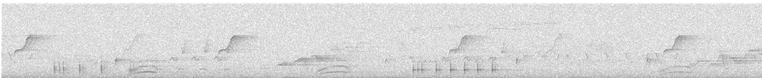 Дятел-смоктун білочеревий - ML621017728