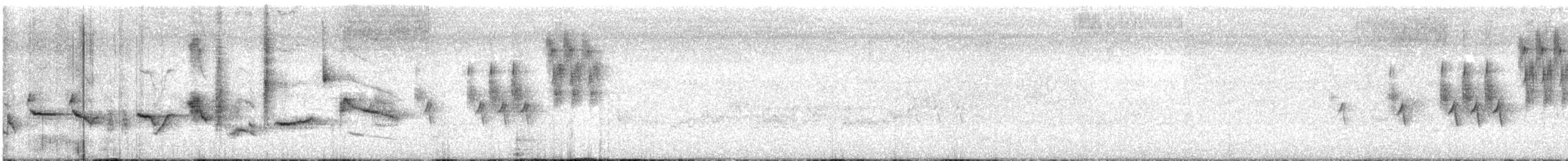 Oriole des vergers - ML621017995