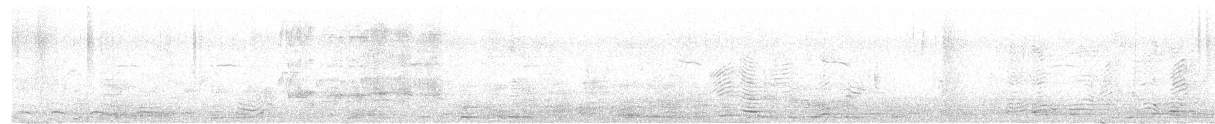Halsbandfrankolin [henrici-Gruppe] - ML621018264
