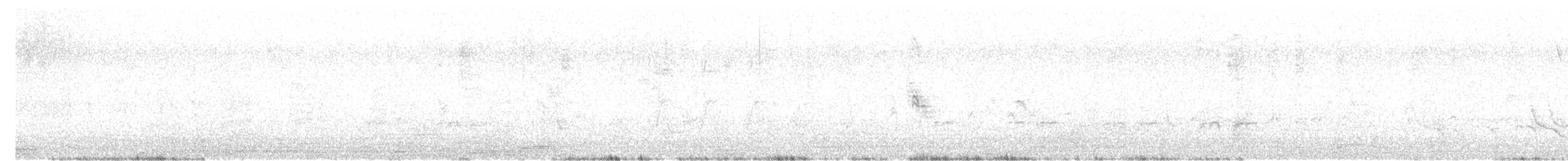 Halsbandfrankolin [henrici-Gruppe] - ML621018275