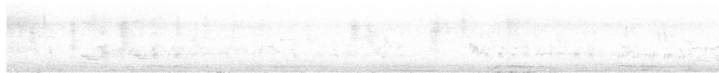 Halsbandfrankolin [henrici-Gruppe] - ML621018327