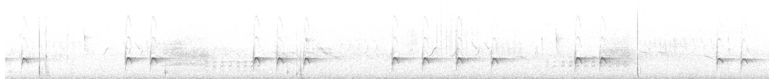 Greater Pewee - ML621018931