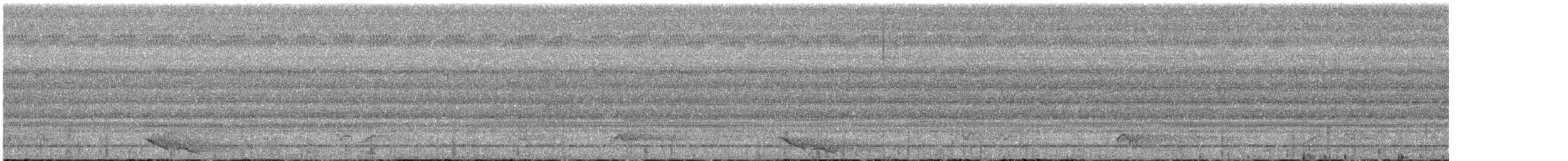Oropéndola de Seram - ML621019536