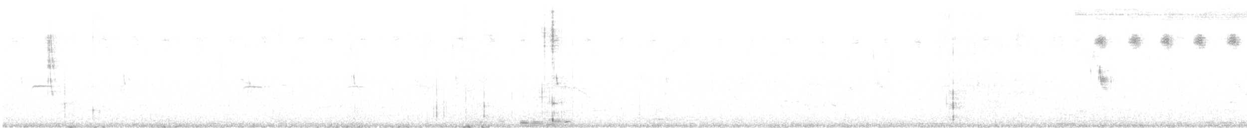 Pipit rousset - ML621020298