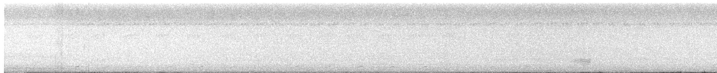 白腹秧雞 - ML621020449