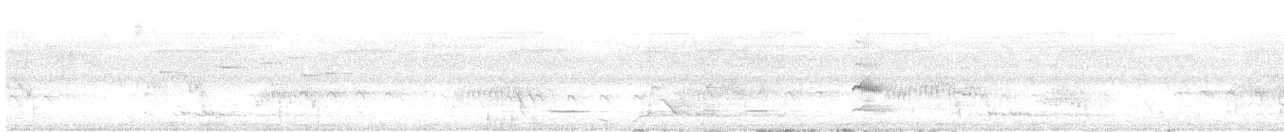 Ibis à cou noir - ML621020479