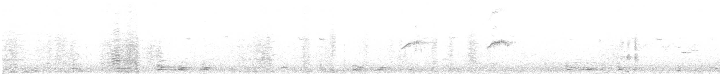 アマツバメ属 - ML621021716