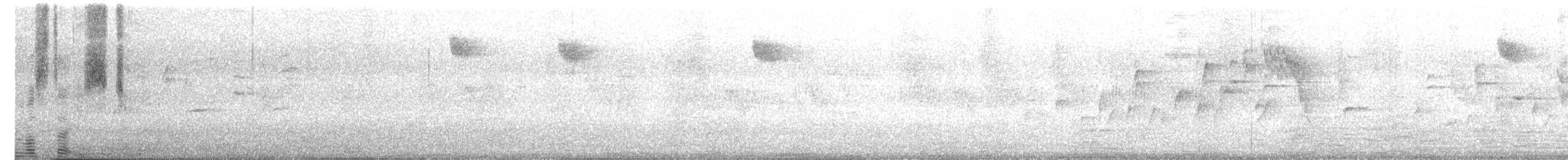 Spotted Flycatcher - ML621023069