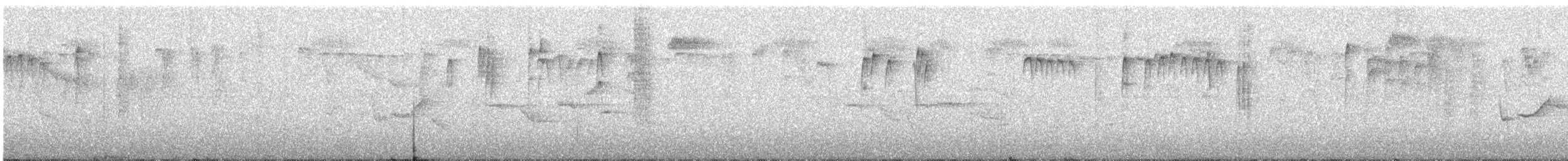 Kara Gerdanlı Uzunkuyruk [concinnus grubu] - ML621023290