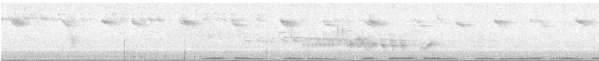holub hřivnáč - ML621023900