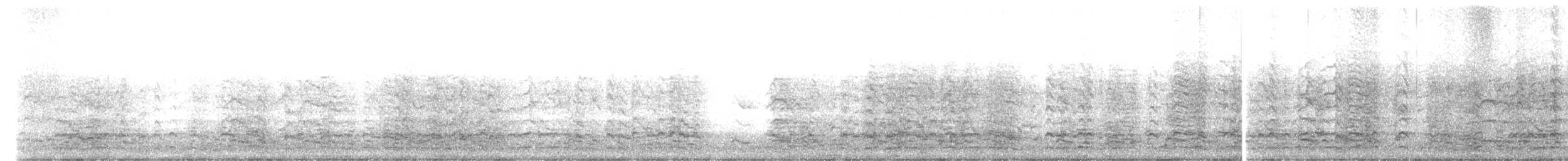 אווז לבן-מצח - ML621024194