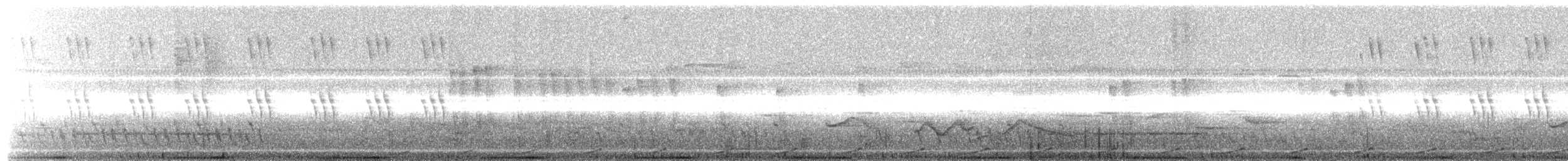 holub světlebřichý - ML621024374