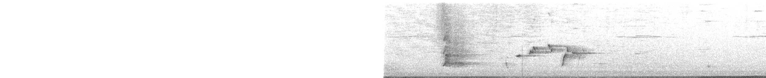Чёрно-белая веерохвостка - ML621024775