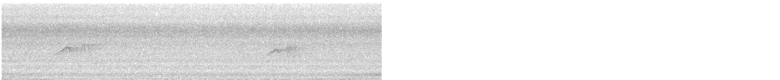 Weißbauch-Phoebetyrann - ML621026150