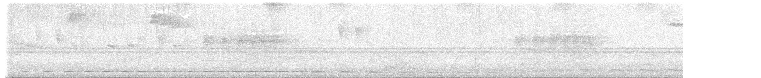 Short-tailed Antthrush - ML621026206
