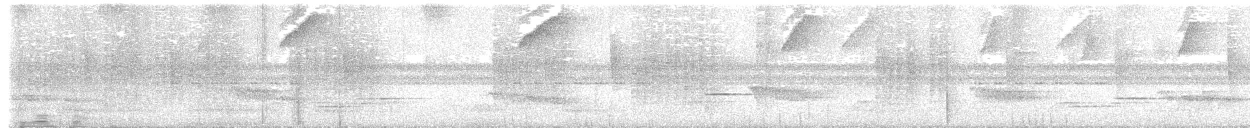 Дрізд-короткодзьоб андійський - ML621026343