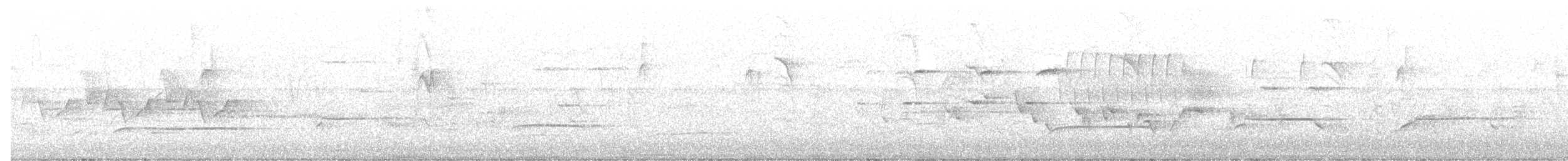 アカオノスリ（borealis） - ML621027781