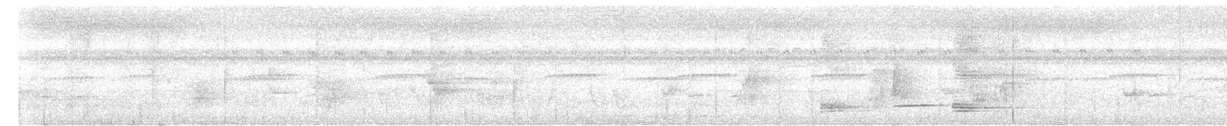 Белокрылая сорока - ML621028251