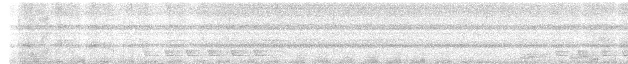 arkipelkråke - ML621028266