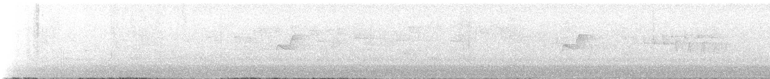 Batı Amerika Sinekkapanı - ML621029818