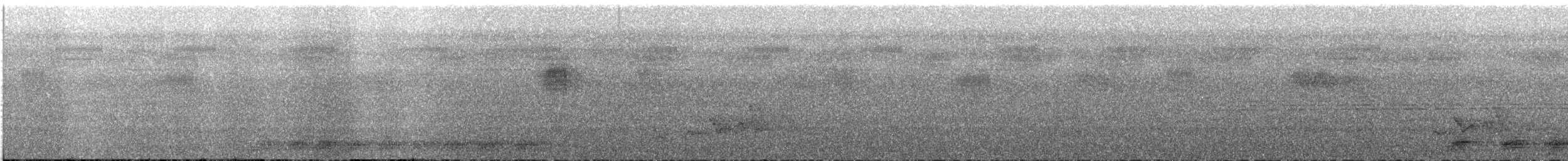 Серый павлиний фазан - ML621029863