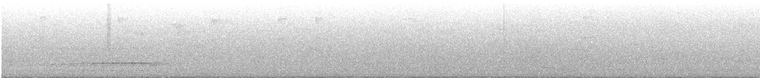 hvitbrynsvartspett - ML621030221