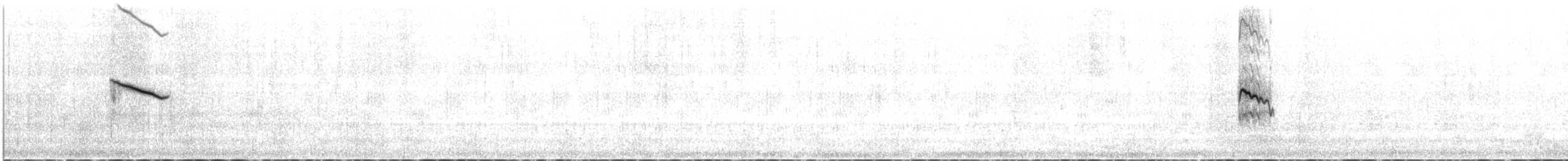 Sillem's Rosefinch - ML621032806