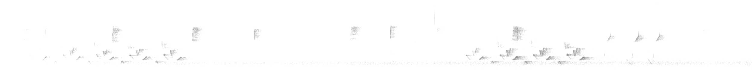 Поплітник каролінський - ML621033169