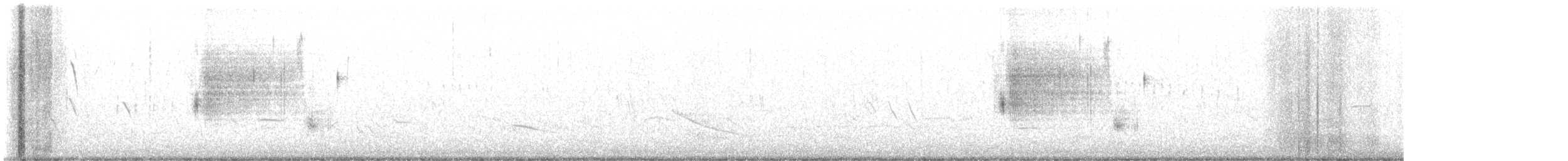 Chingolo de Nelson (subvirgatus) - ML621034992